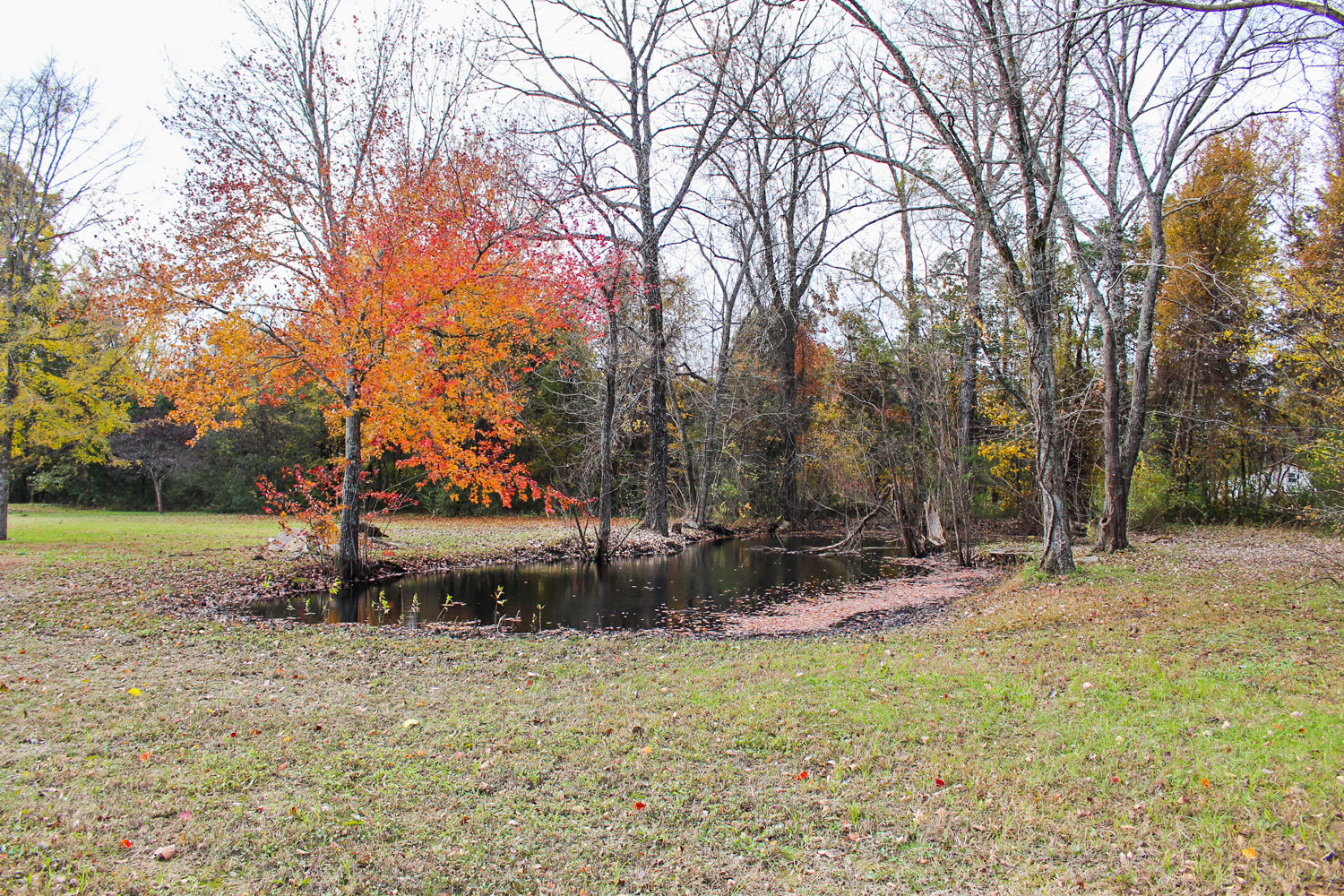 Image for 3612 Woodbury Pike, Murfreesboro