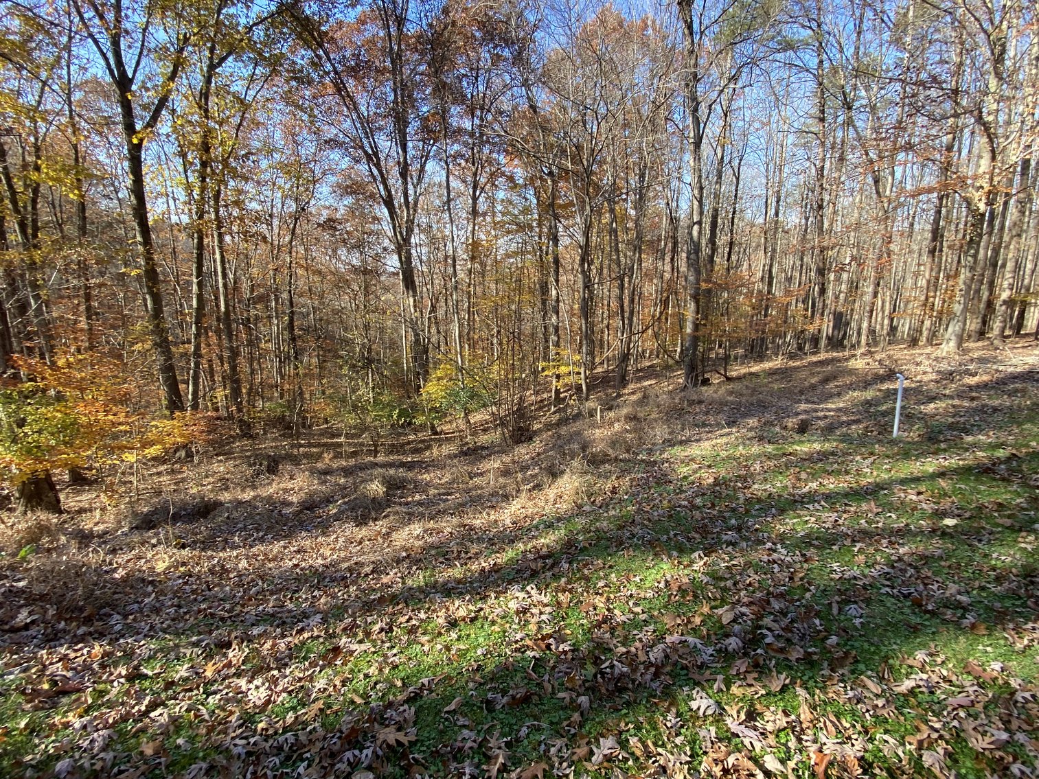 Image for McDerment Real Estate Auction ONLINE Only