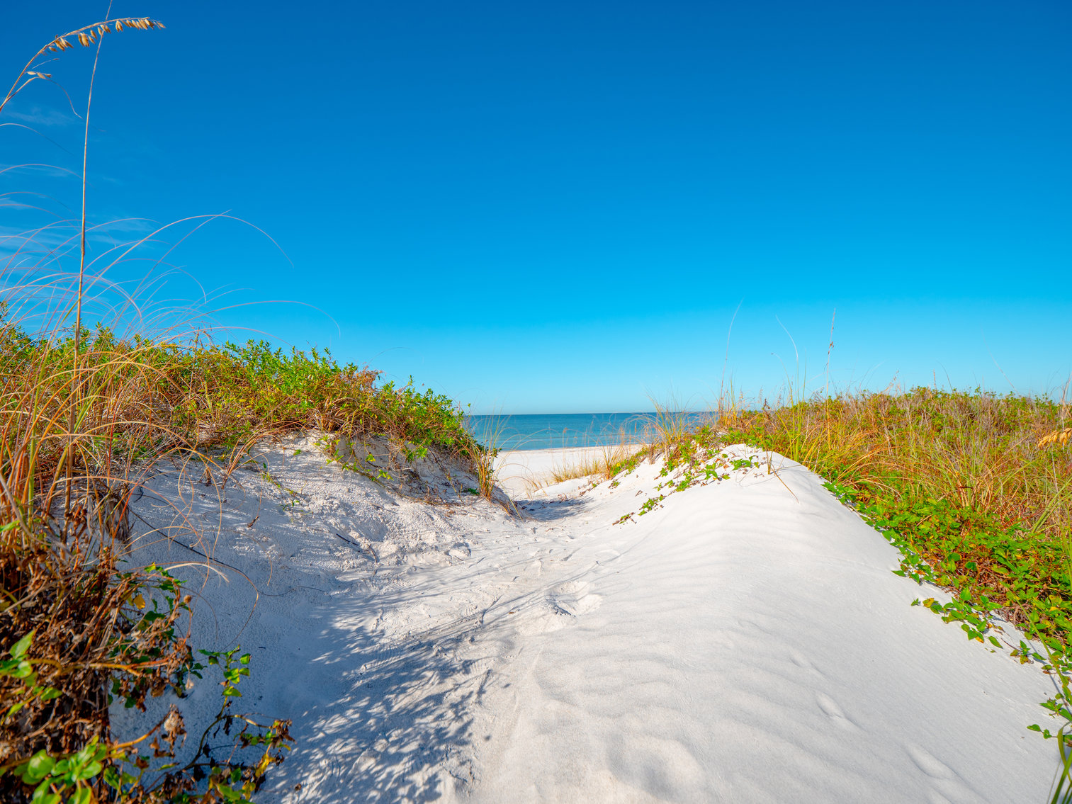 Image for 17836 Lee Ave, Redington Shores, FL 33708