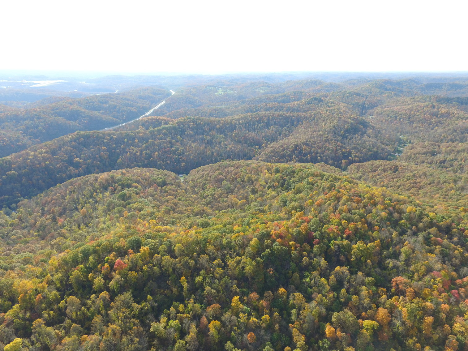 Image for SOLD $82,500 - 66 Acres in Cooper’s Creek Selling to the Highest Bidder