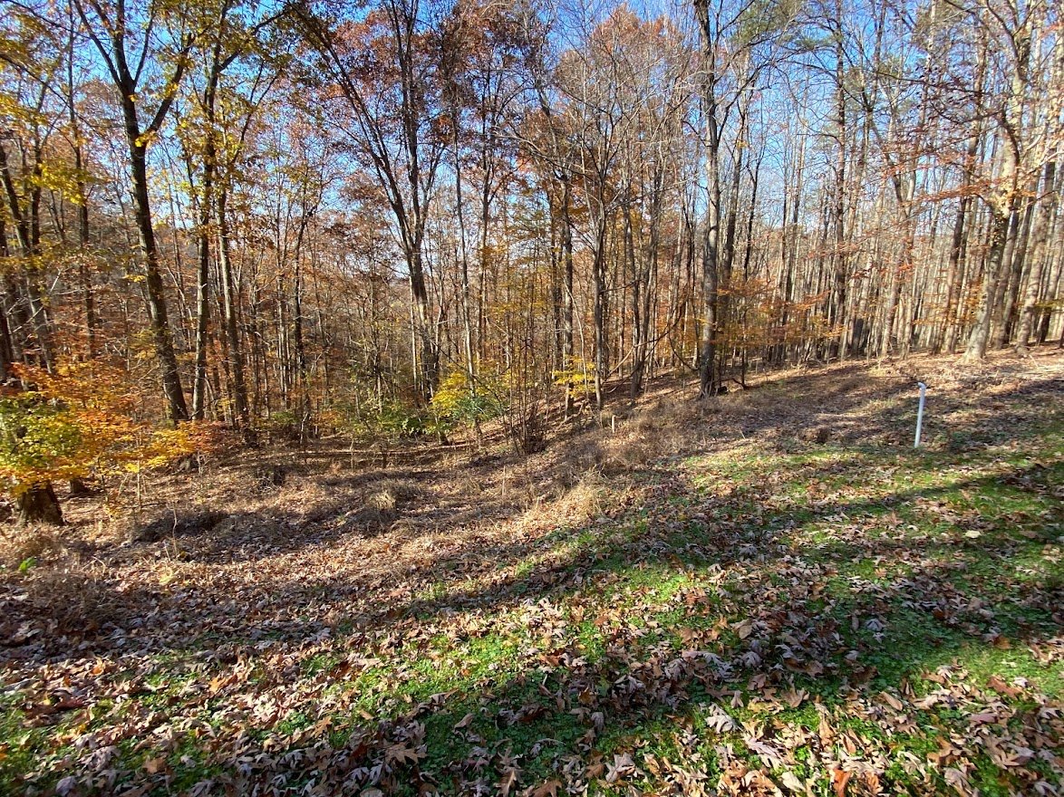 Image for McDerment Real Estate Auction ONLINE Only