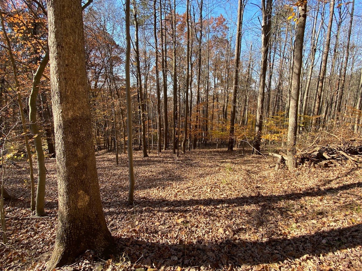 Image for McDerment Real Estate Auction ONLINE Only