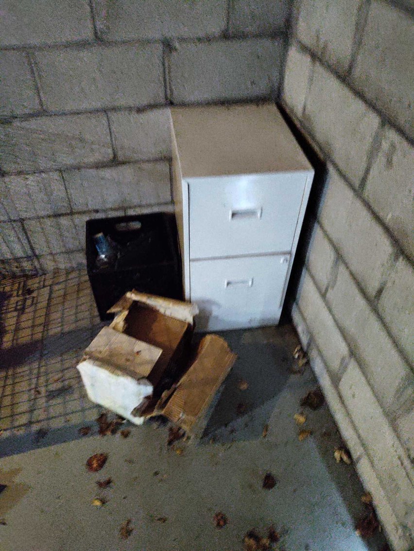 Image for Ladders, Tools, Bicycle, Tables, Mixer/Slush Machine (S Byrne)