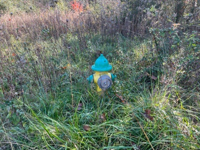 Image for 3.87± Acres on Greenhill Road, Mount Airy, NC - Online Only