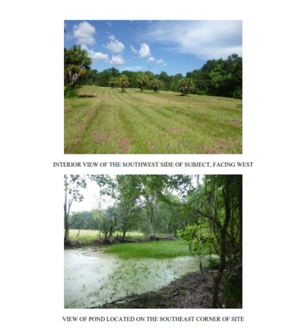 Image for East Lake Trail (Vacant Land), Tarpon Springs, FL 34689