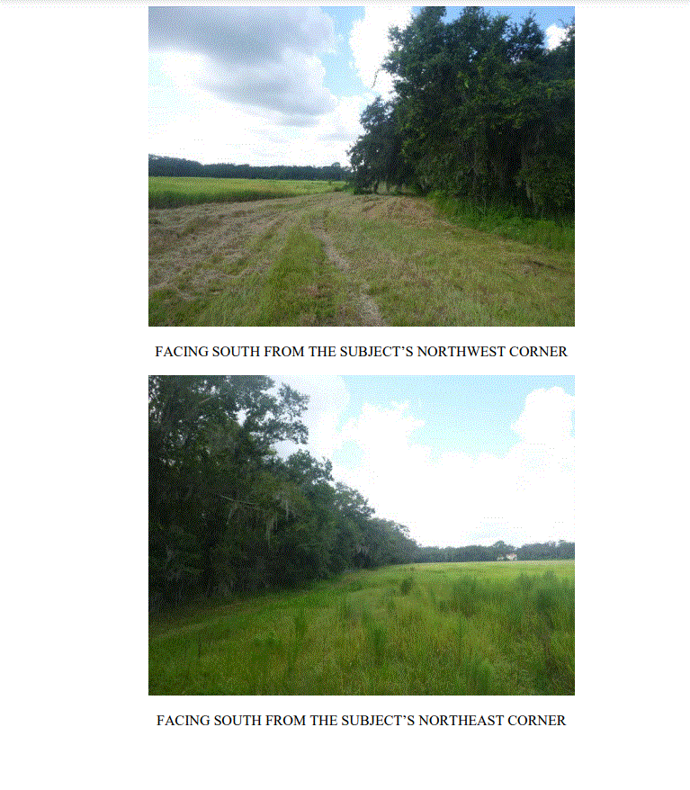 Image for East Lake Trail (Vacant Land), Tarpon Springs, FL 34689