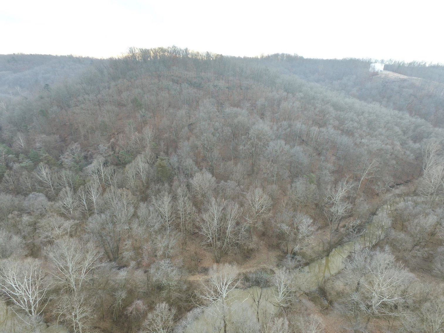 Image for SOLD $187,000 - 88.63+/- Acres in the Heart of Hurricane