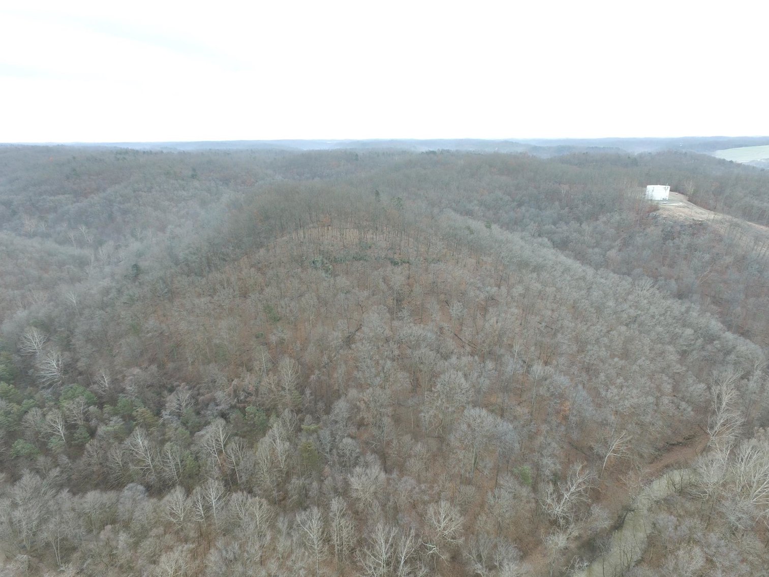 Image for SOLD $187,000 - 88.63+/- Acres in the Heart of Hurricane