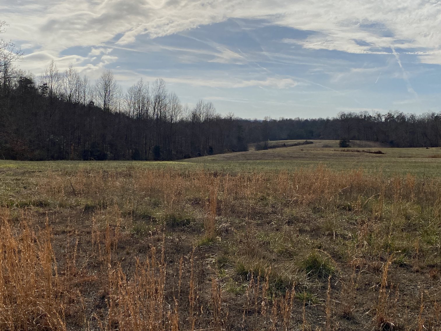 Image for Parcel 1, 2, & 3 of Vacant Land Offered In Their Entirety in Greene County, VA--SELLING to the HIGHEST BIDDER via ONLINE ONLY BIDDING