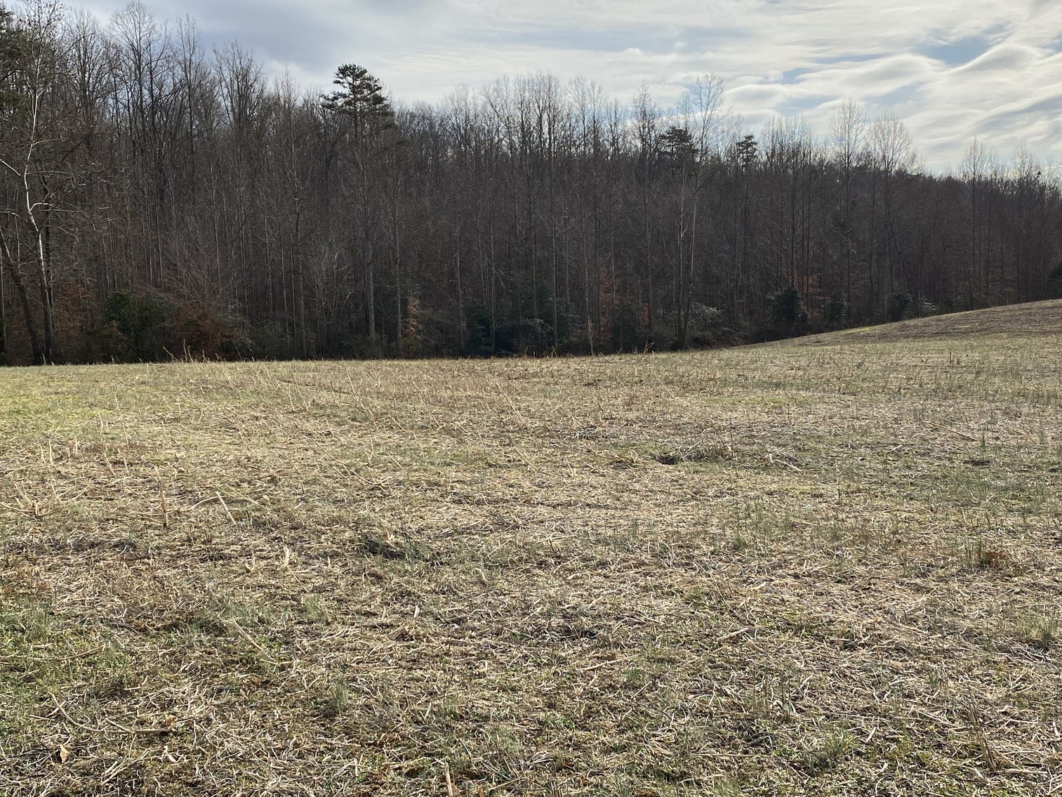 Image for Parcel 1, 2, & 3 of Vacant Land Offered In Their Entirety in Greene County, VA--SELLING to the HIGHEST BIDDER via ONLINE ONLY BIDDING