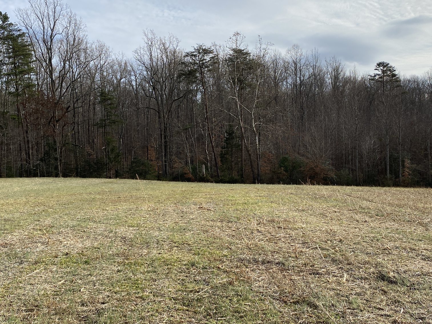 Image for Parcel 1, 2, & 3 of Vacant Land Offered In Their Entirety in Greene County, VA--SELLING to the HIGHEST BIDDER via ONLINE ONLY BIDDING