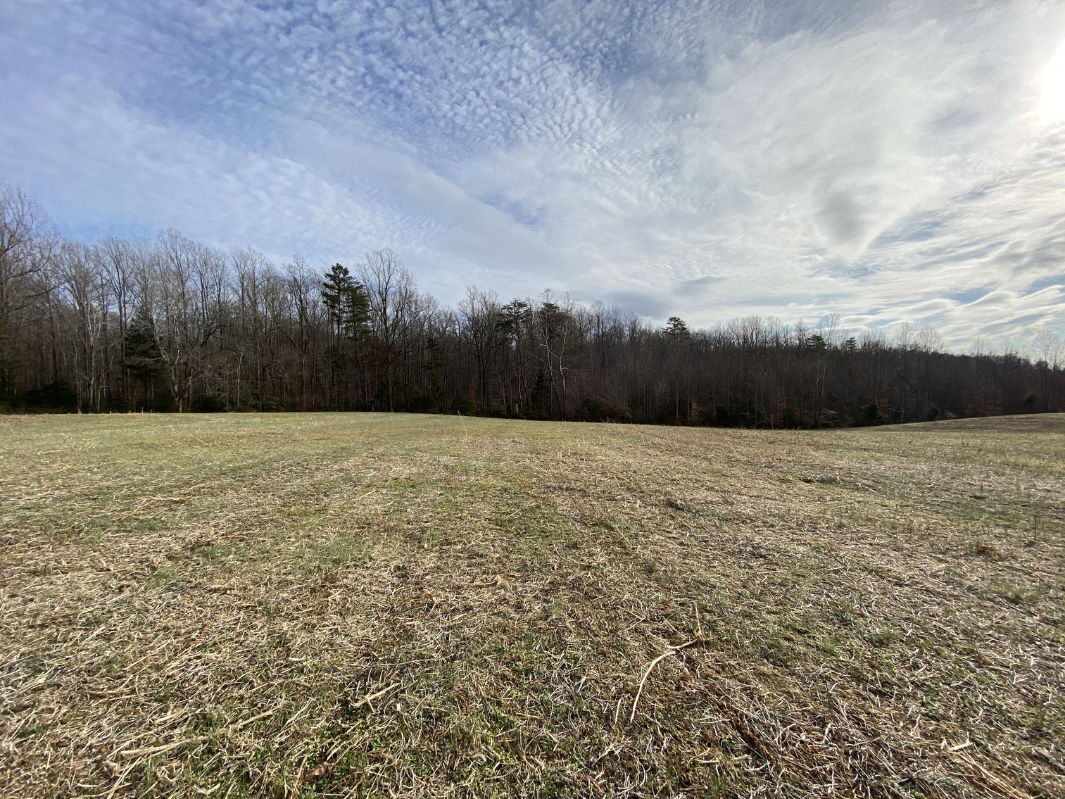 Image for Parcel 1, 2, & 3 of Vacant Land Offered In Their Entirety in Greene County, VA--SELLING to the HIGHEST BIDDER via ONLINE ONLY BIDDING