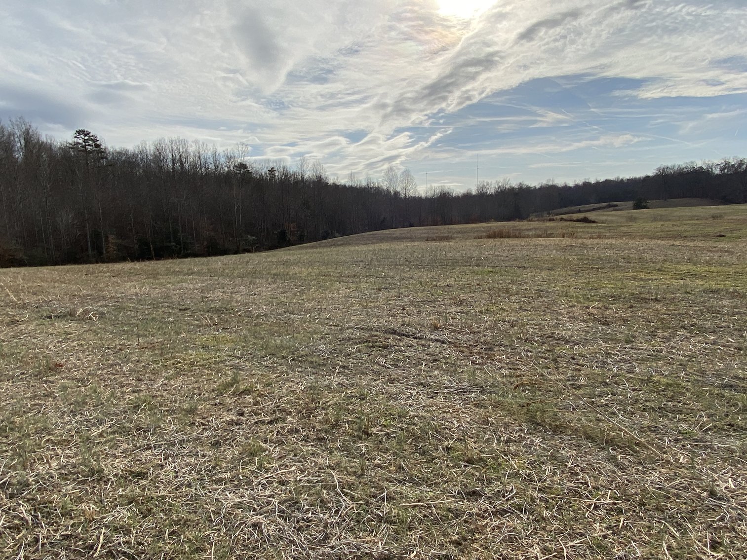 Image for Parcel 1, 2, & 3 of Vacant Land Offered In Their Entirety in Greene County, VA--SELLING to the HIGHEST BIDDER via ONLINE ONLY BIDDING