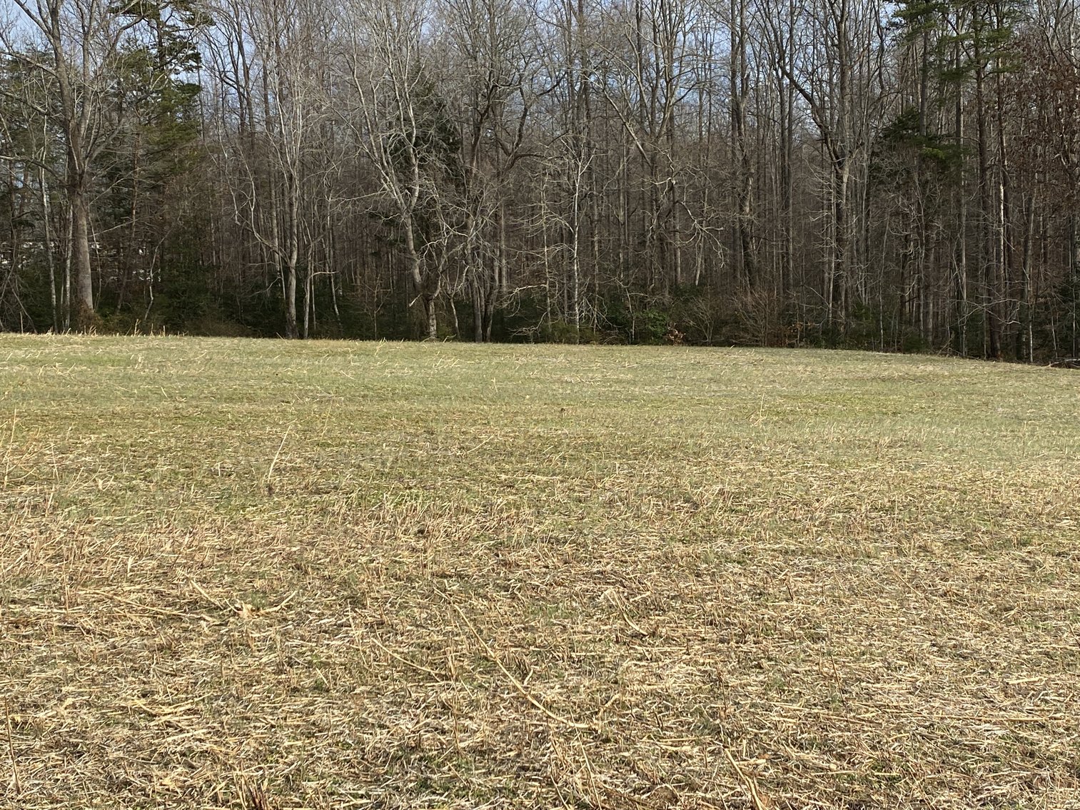 Image for Parcel 1, 2, & 3 of Vacant Land Offered In Their Entirety in Greene County, VA--SELLING to the HIGHEST BIDDER via ONLINE ONLY BIDDING
