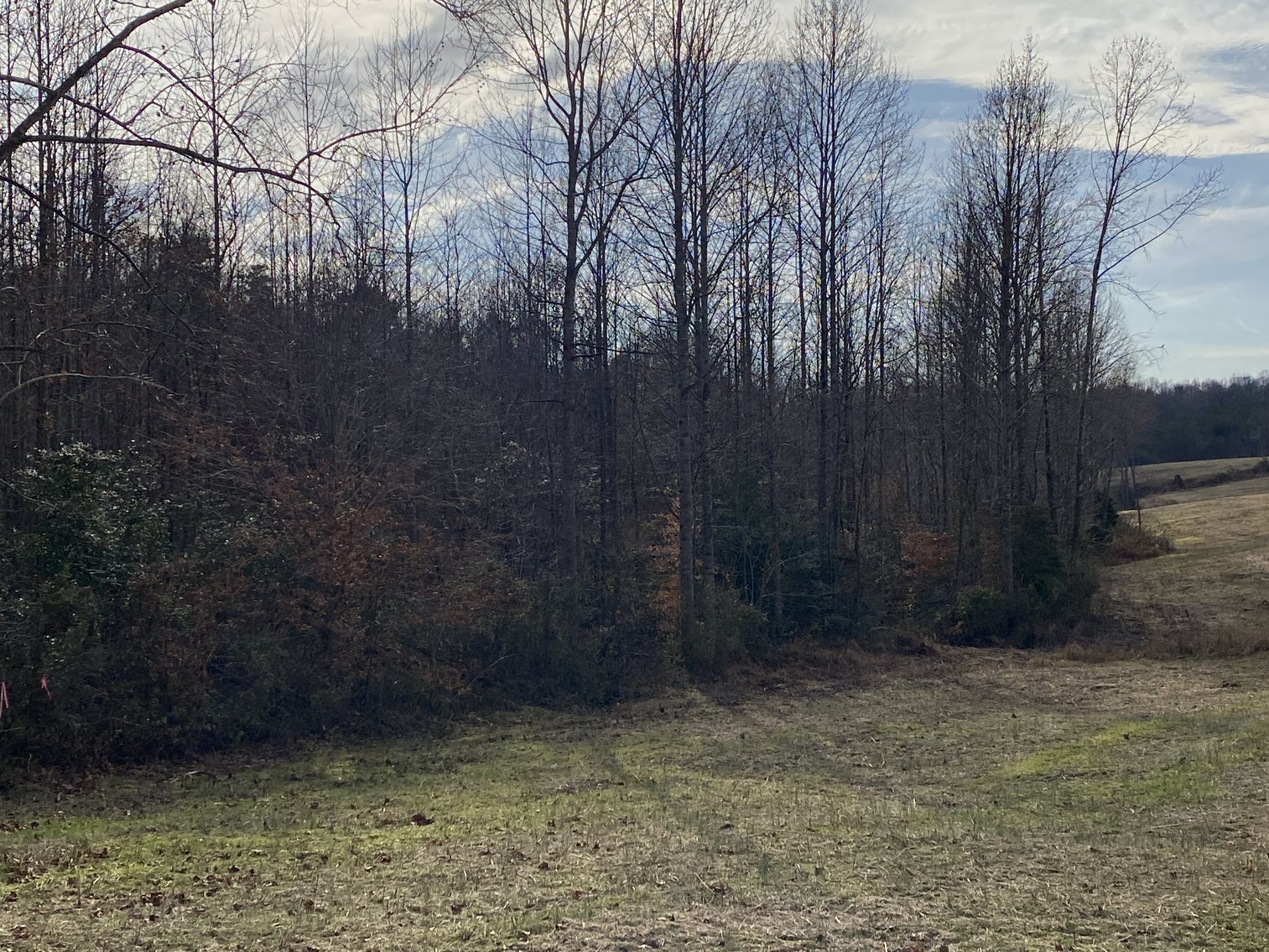 Image for Parcel 1, 2, & 3 of Vacant Land Offered In Their Entirety in Greene County, VA--SELLING to the HIGHEST BIDDER via ONLINE ONLY BIDDING
