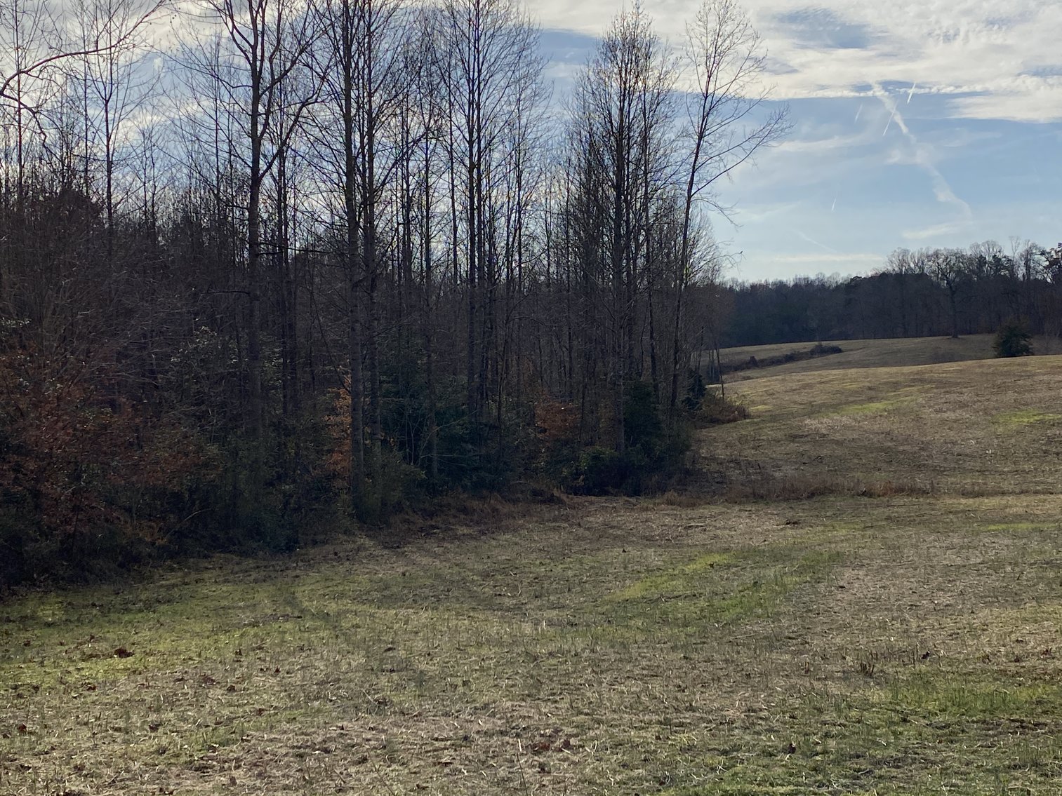 Image for Parcel 1, 2, & 3 of Vacant Land Offered In Their Entirety in Greene County, VA--SELLING to the HIGHEST BIDDER via ONLINE ONLY BIDDING
