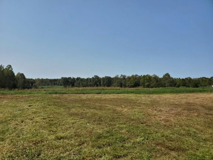 Image for Parcel 1, 2, & 3 of Vacant Land Offered In Their Entirety in Greene County, VA--SELLING to the HIGHEST BIDDER via ONLINE ONLY BIDDING