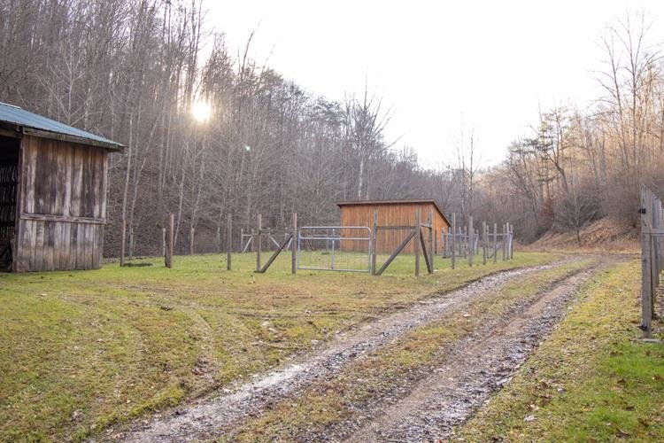 Image for SOLD $467,500 - Beautiful Log home on 185 Acres
