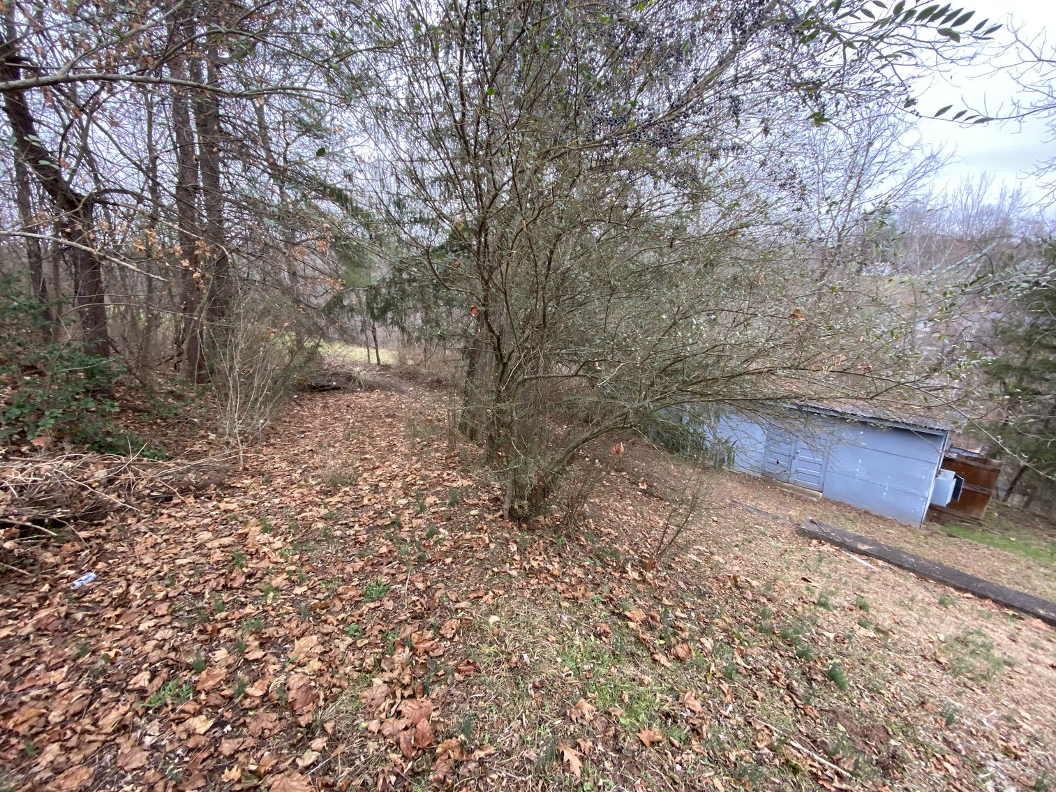 Image for Real Estate Auction w/ Vehicles