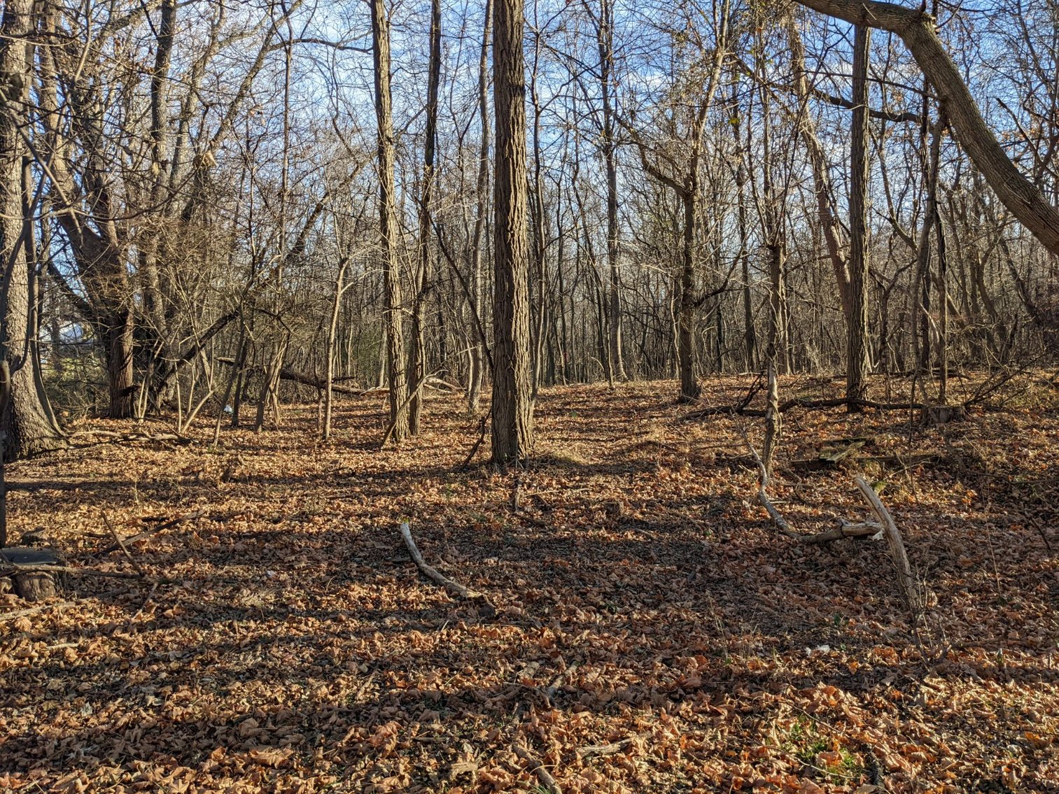 Image for 0.34 +/- Acre Building Lot In City Of Staunton