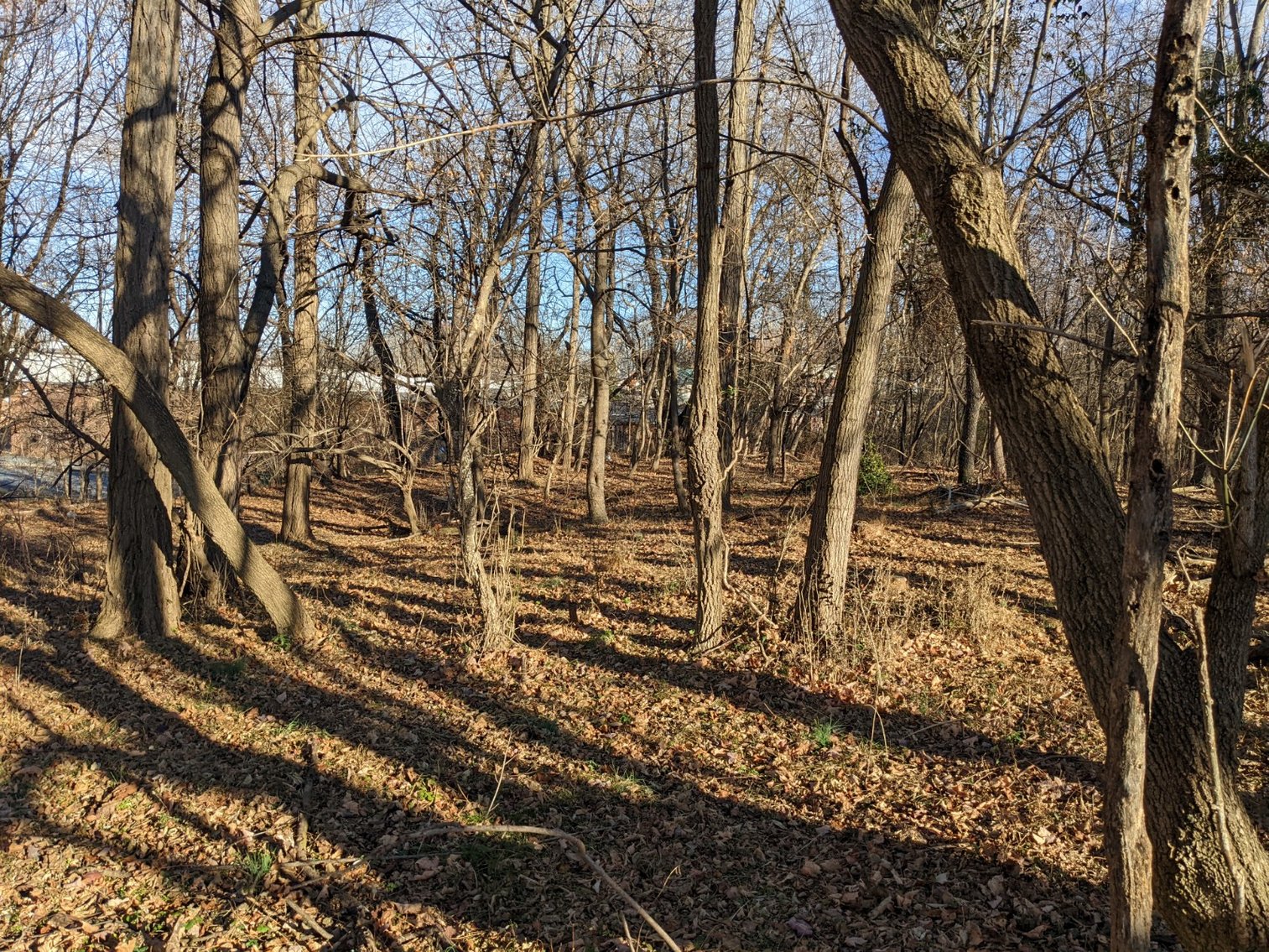 Image for 0.34 +/- Acre Building Lot In City Of Staunton