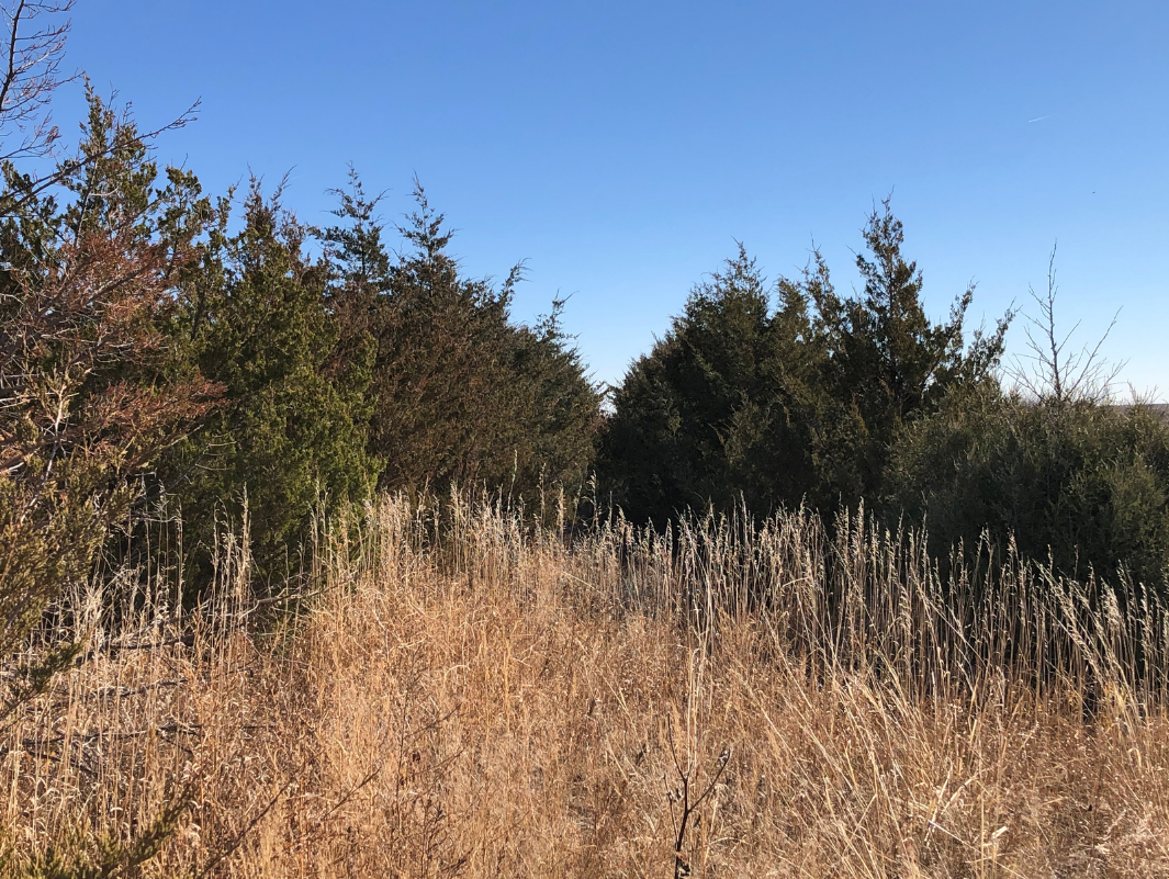 Image for YUMA COUNTY, CO - GRAVEL PIT + CRP