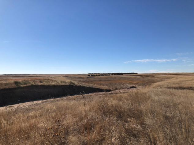 Image for YUMA COUNTY, CO - GRAVEL PIT + CRP
