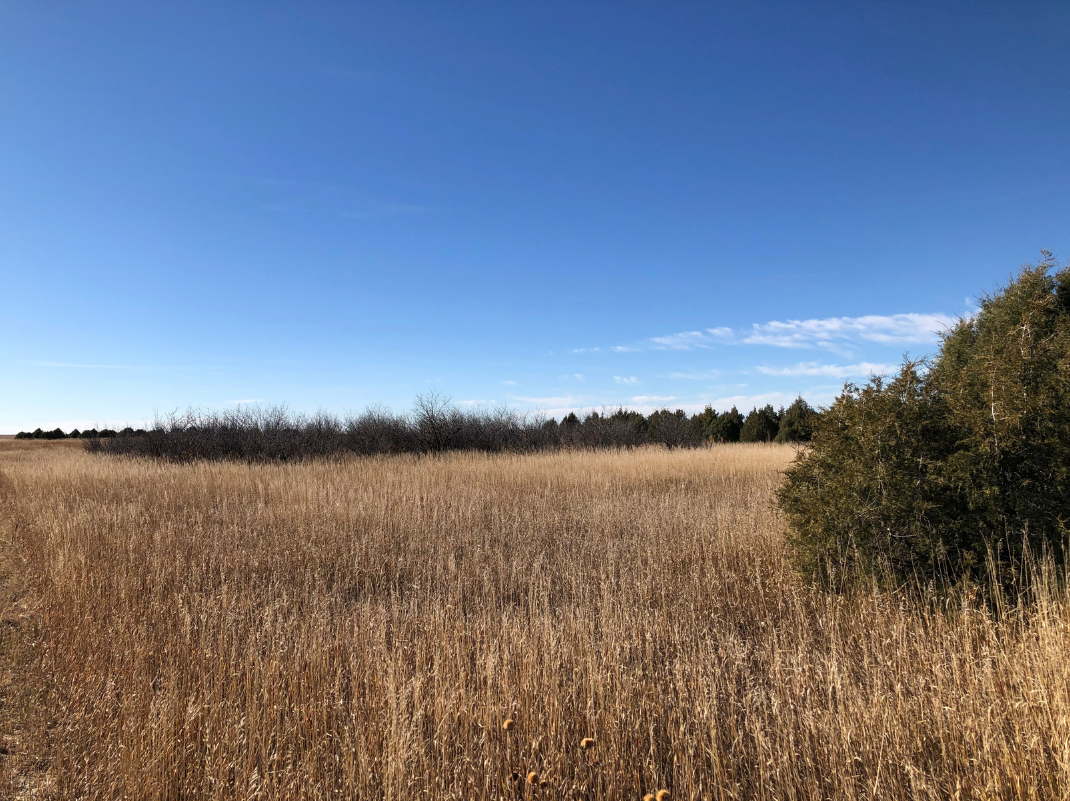 Image for YUMA COUNTY, CO - GRAVEL PIT + CRP