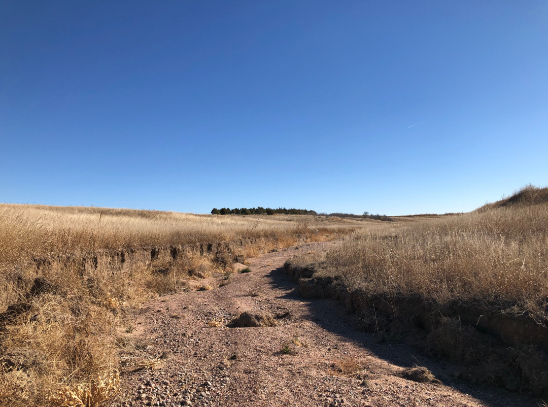 Image for YUMA COUNTY, CO - GRAVEL PIT + CRP