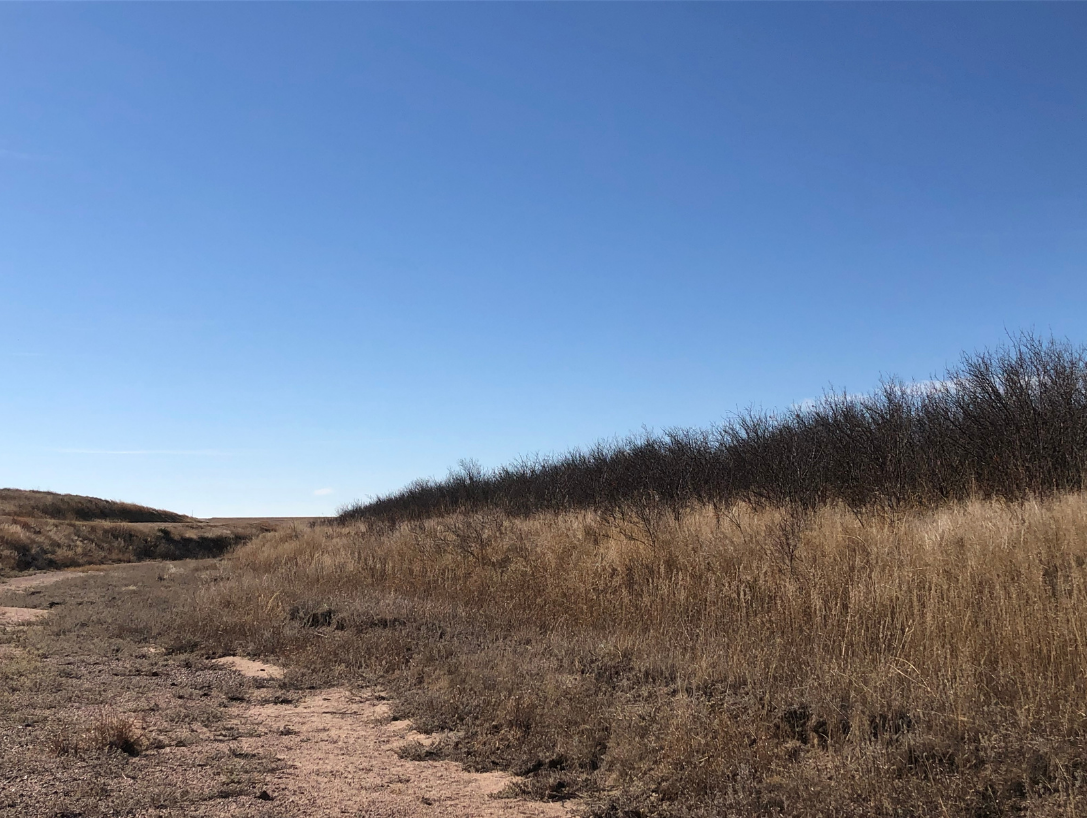 Image for YUMA COUNTY, CO - GRAVEL PIT + CRP
