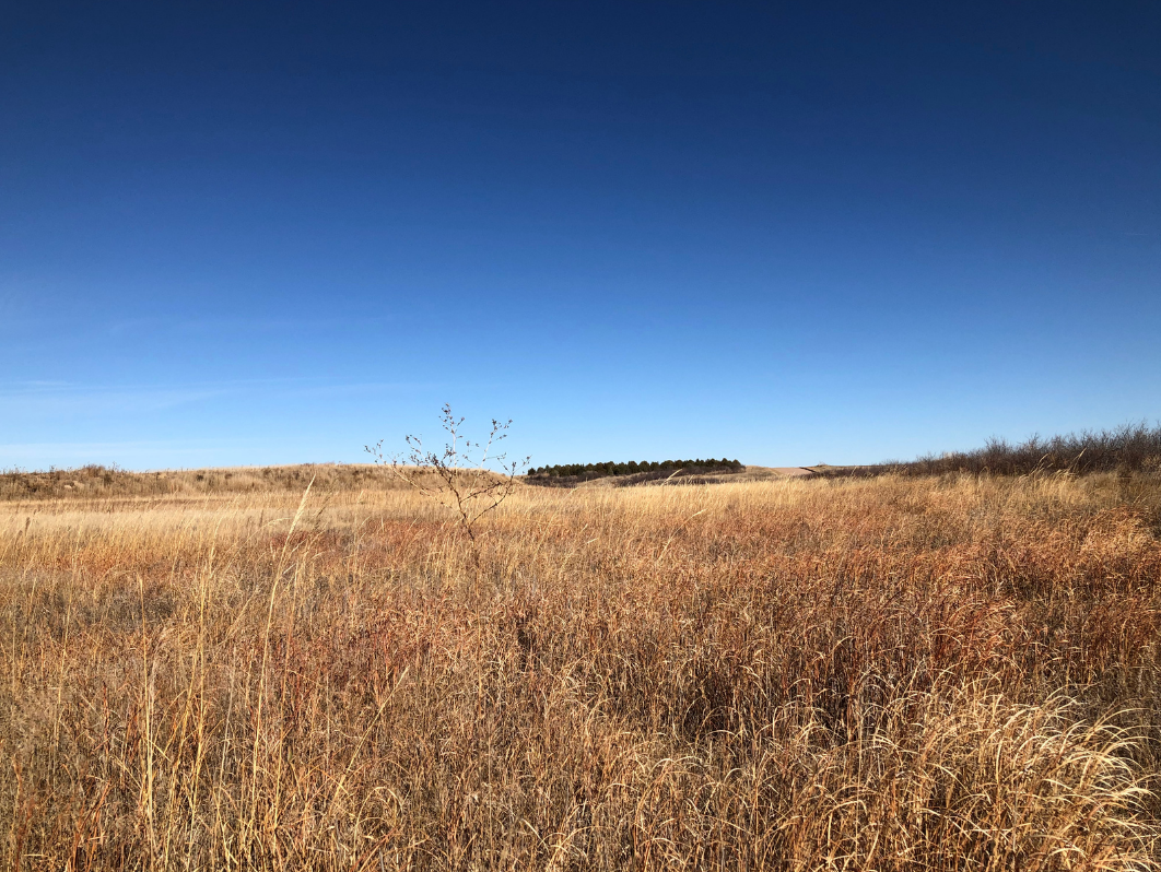 Image for YUMA COUNTY, CO - GRAVEL PIT + CRP