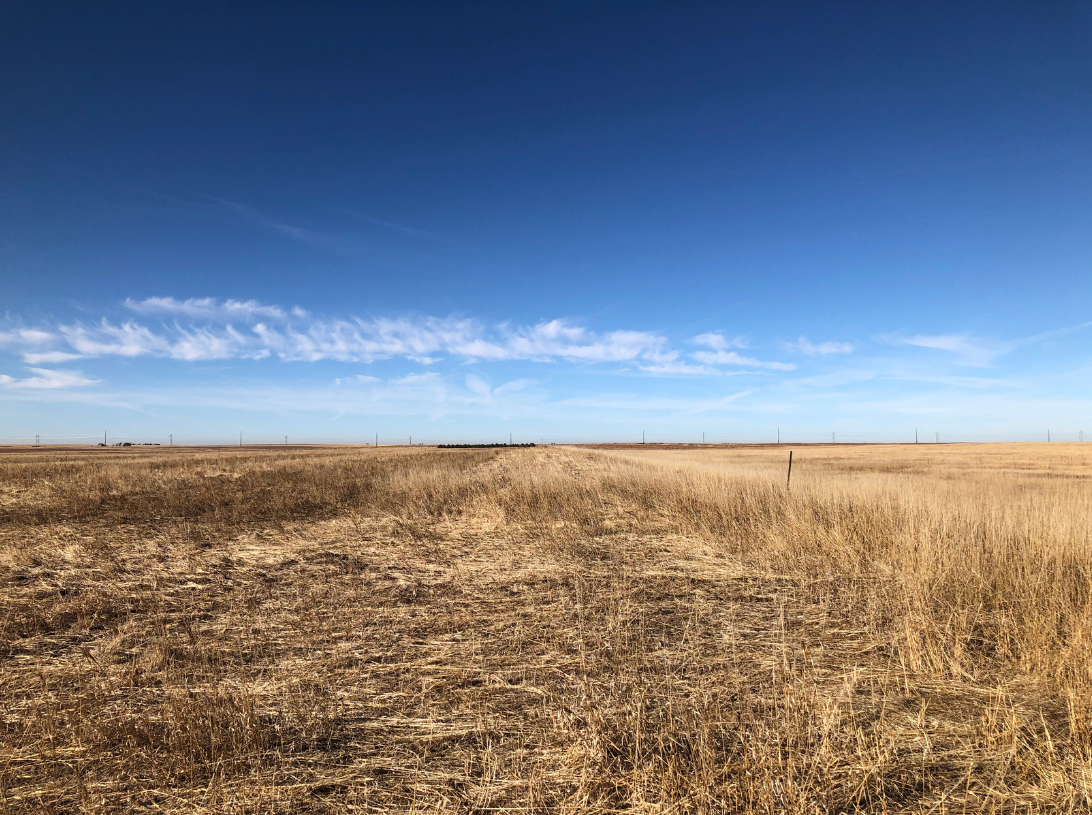Image for YUMA COUNTY, CO - GRAVEL PIT + CRP
