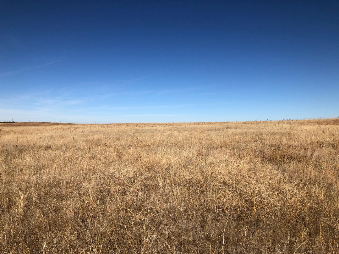 Image for YUMA COUNTY, CO - GRAVEL PIT + CRP