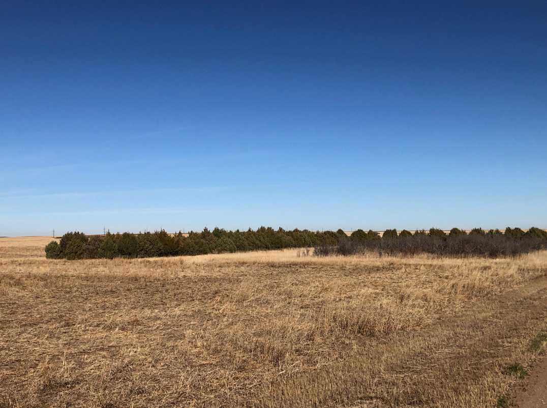 Image for YUMA COUNTY, CO - GRAVEL PIT + CRP