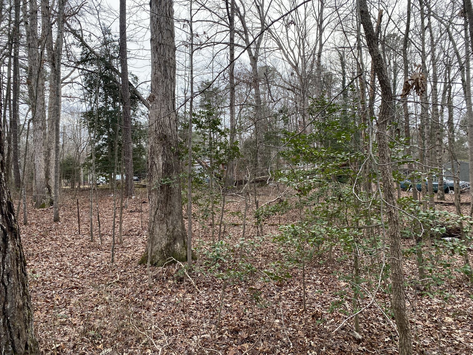 Image for 3 BR/1.5 BA Brick Home on 2.85 +/- Acres--Chesterfield, VA