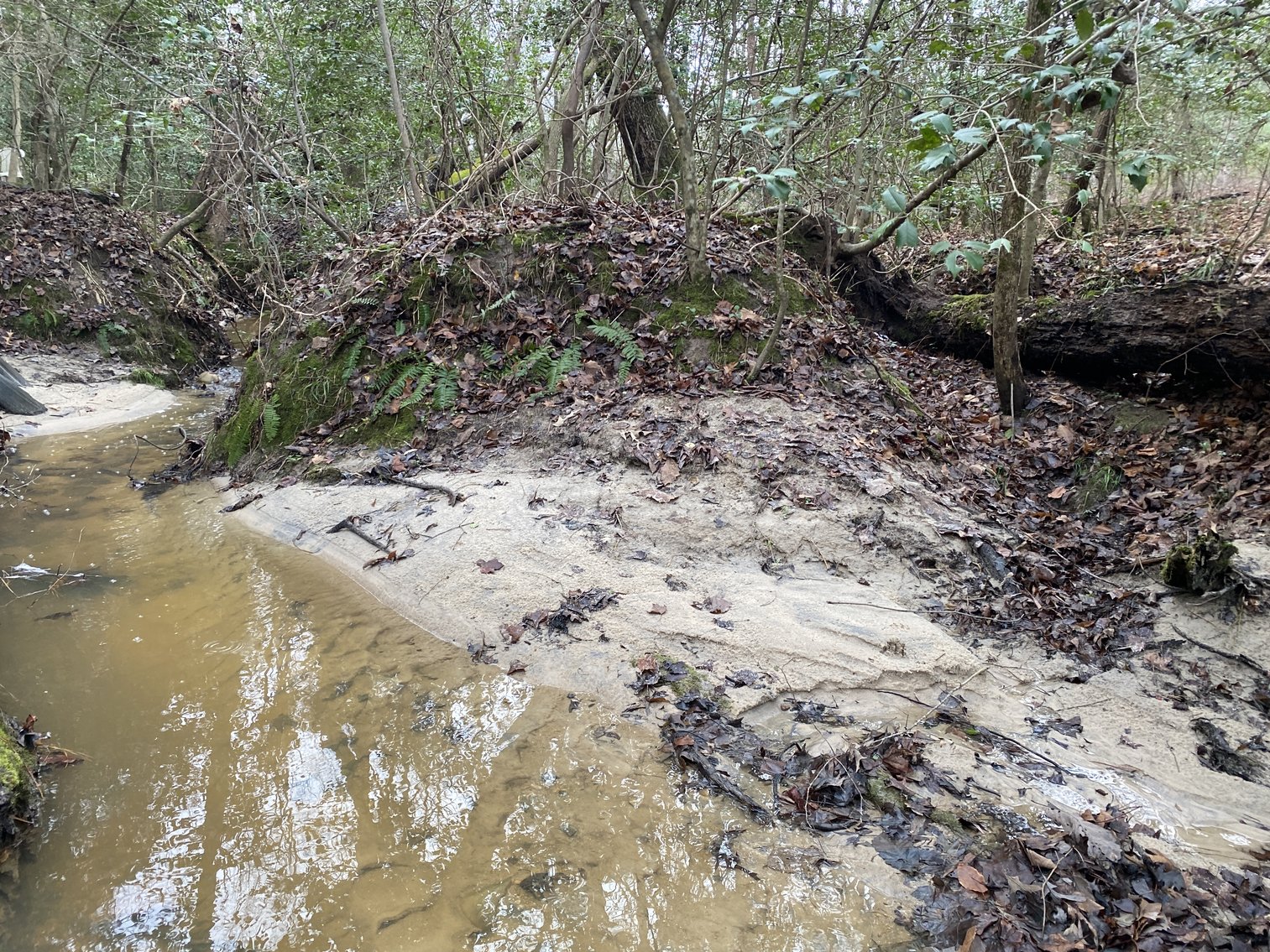 Image for 3 BR/1.5 BA Brick Home on 2.85 +/- Acres--Chesterfield, VA