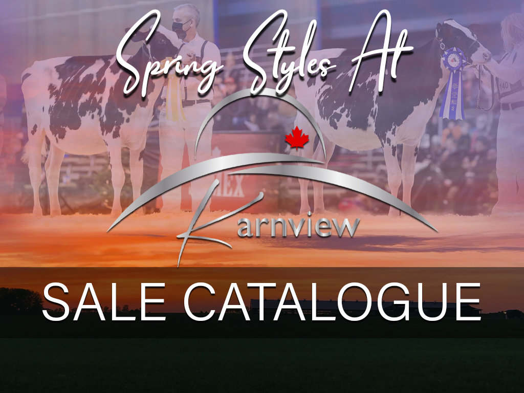 Sale Catalogue