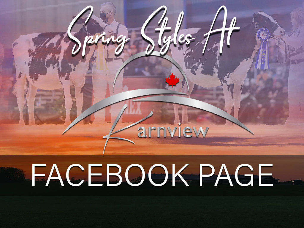 Sale's Facebook Page