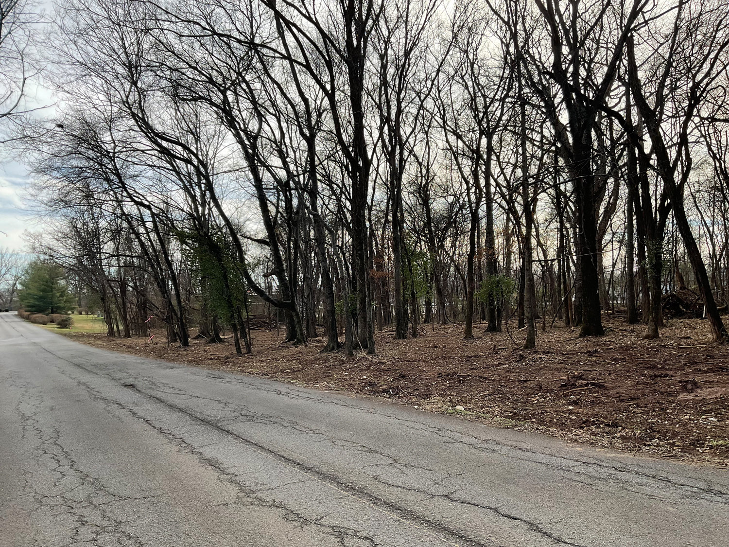 Image for Lot 2B & 2C Pinto Drive, Smyrna