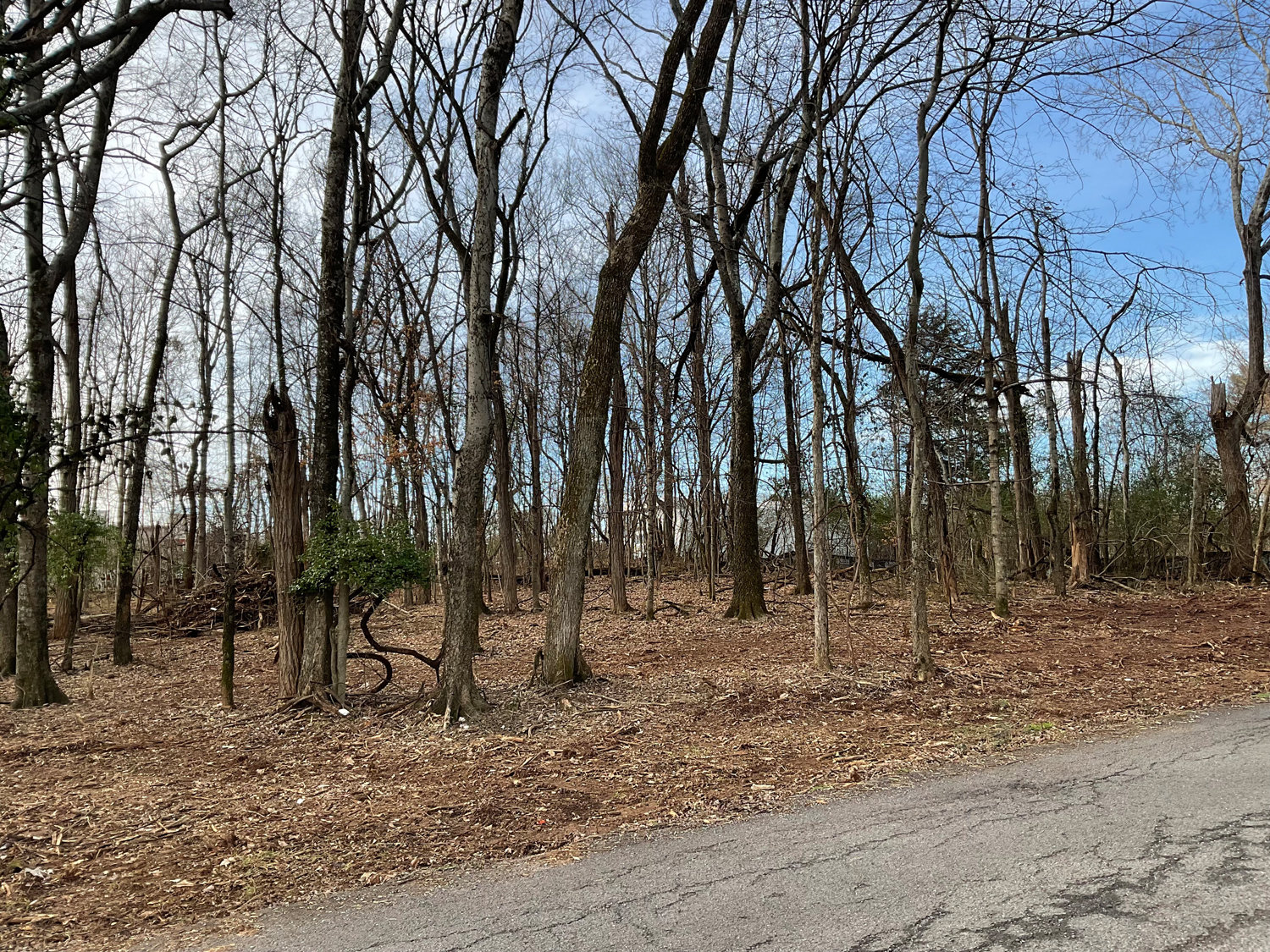 Image for Lot 2B & 2C Pinto Drive, Smyrna