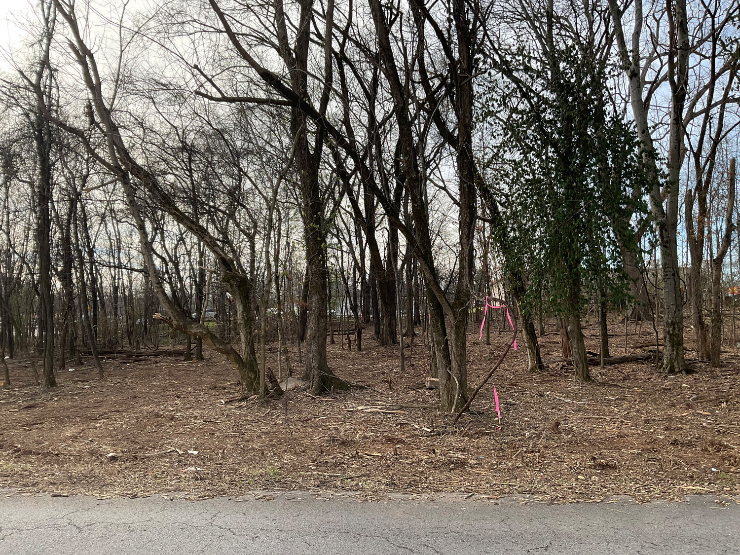 Image for Lot 2B & 2C Pinto Drive, Smyrna