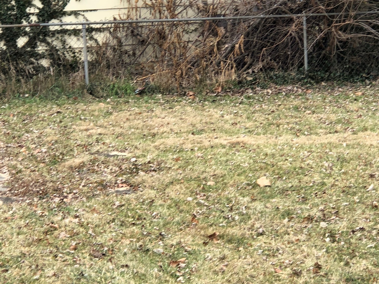 Image for 3235 Northwood Avenue, Toledo, Ohio 43606