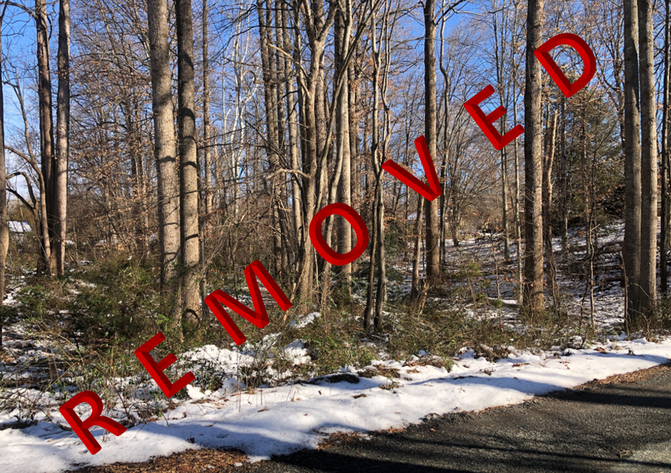 Image for Stafford County, VA CDA Assessments & Tax Delinquent Sale of Real Estate