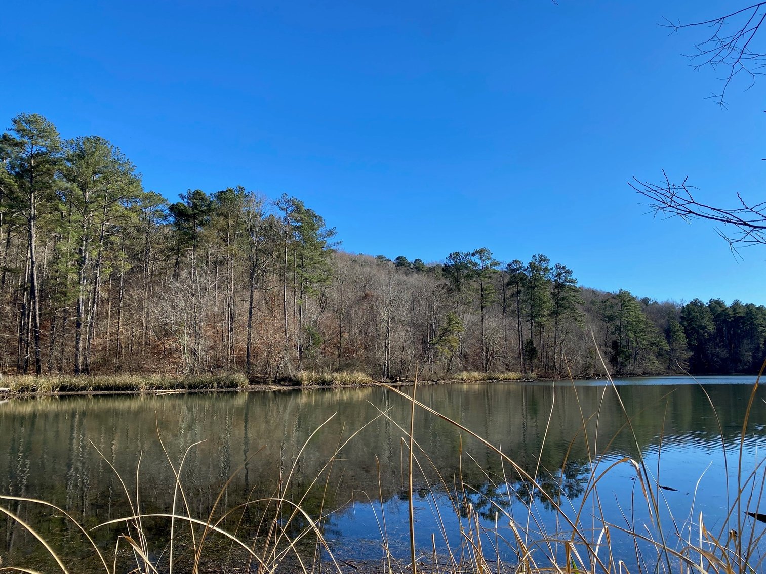 Image for 569 Acres at Lake Guntersville - Alabama