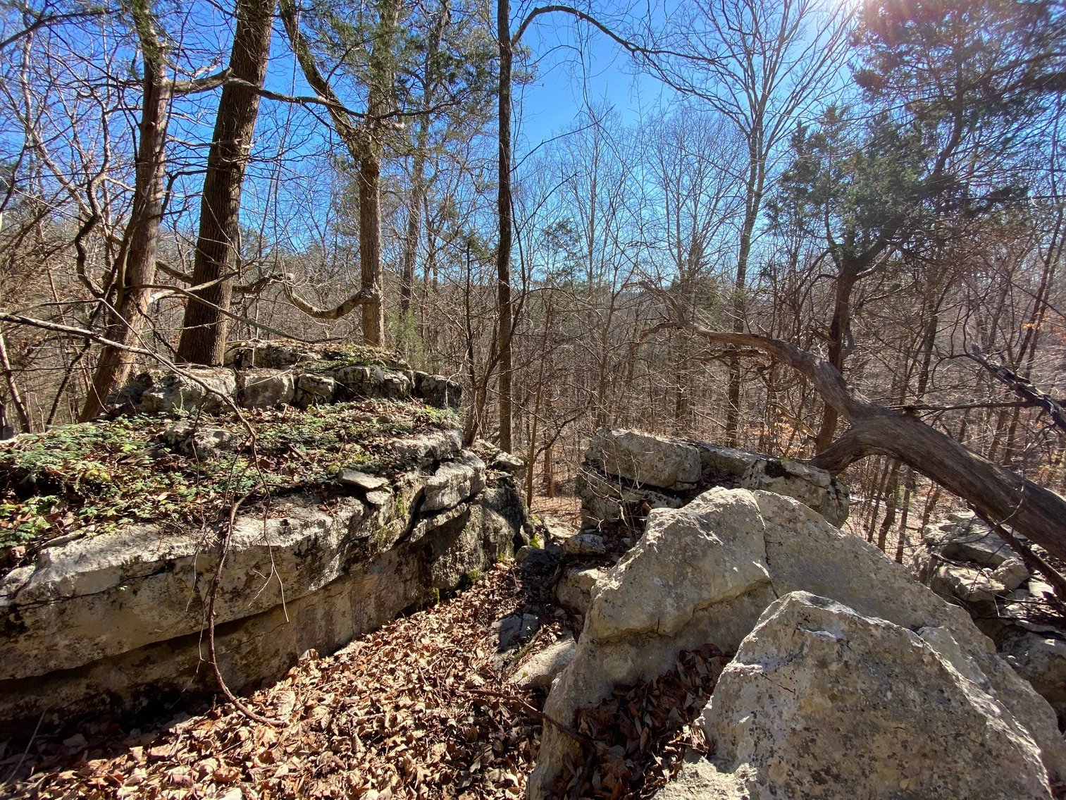 Image for 569 Acres at Lake Guntersville - Alabama