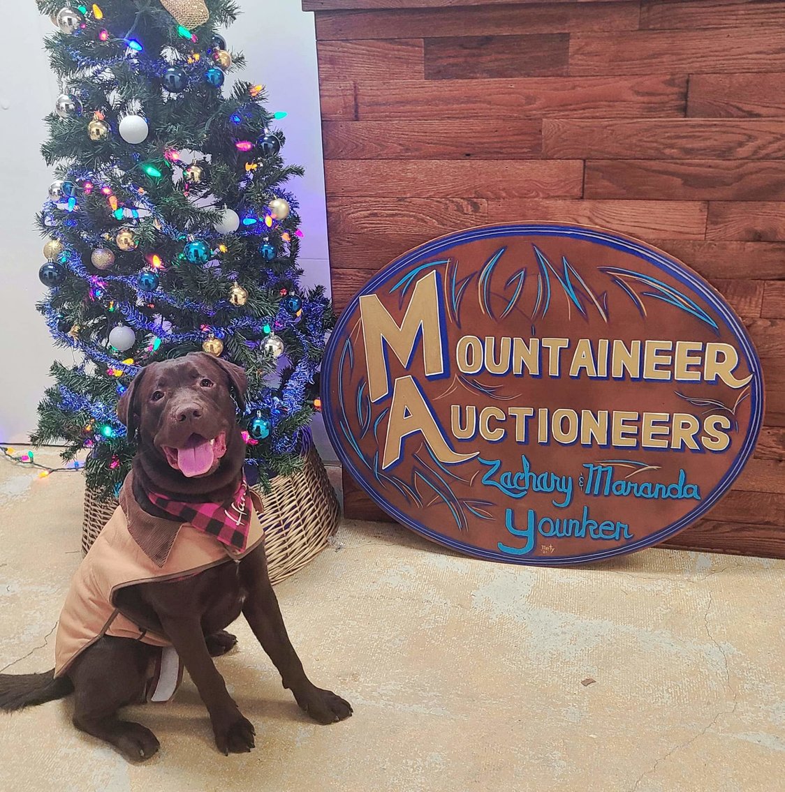 Image for Live and Online Auctions