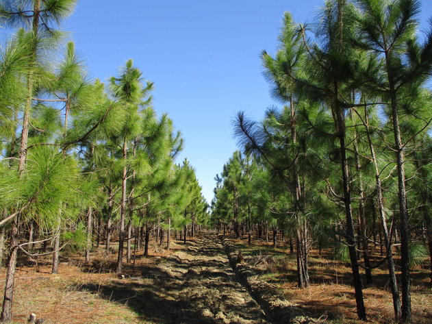 Image for ONLINE AUCTION - Thursday, March 3, 2022