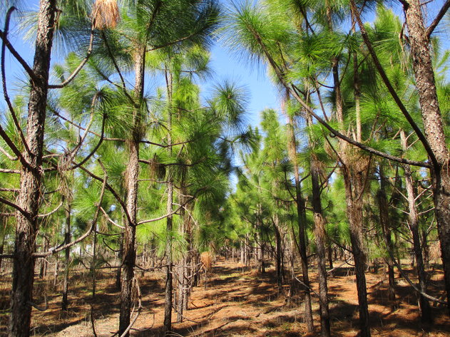 Image for ONLINE AUCTION - Thursday, March 3, 2022