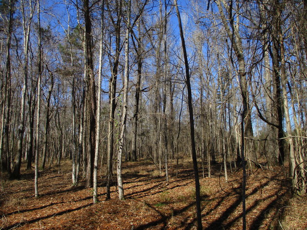 Image for ONLINE AUCTION - Thursday, March 3, 2022