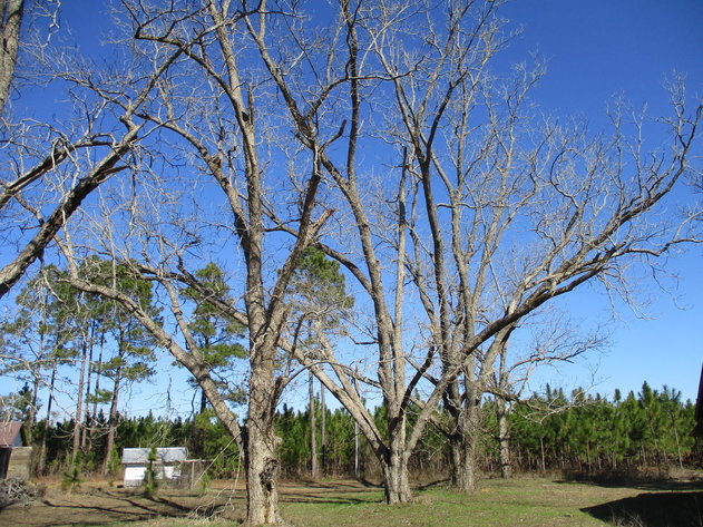 Image for ONLINE AUCTION - Thursday, March 3, 2022